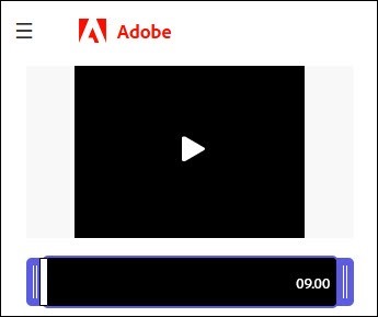 Adobe's fee online video converter